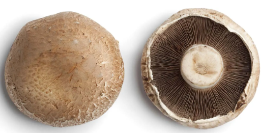 NAT. Mushroom Portobello 1.5kg Tray