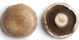 NAT. Mushroom Portobello 1.5kg Tray