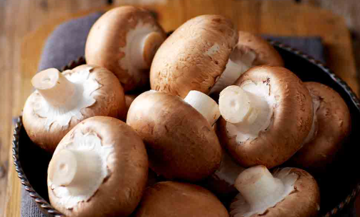 NAT. Mushroom Chestnut 1kg