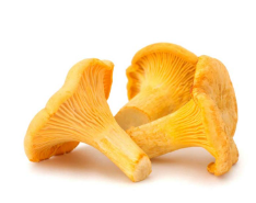 NAT. Mushroom Girolle 1kg