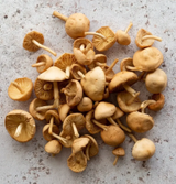 NAT. Mushroom Mousseron 1kg