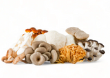 NAT. Mushroom Mix Wild (Cultivated) 1kg
