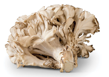 NAT. Mushroom Maitake 1kg