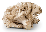 NAT. Mushroom Maitake 1kg