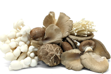 NAT. Mushroom Premier Exotic Mix  1kg