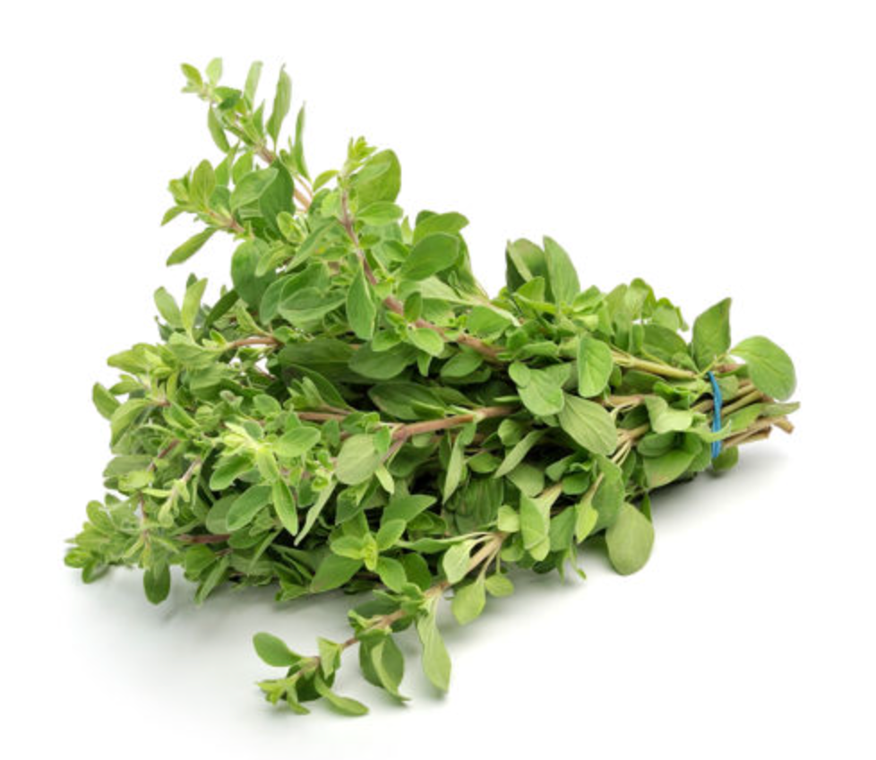 NAT. Marjoram Bunch