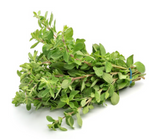 NAT. Marjoram Bunch