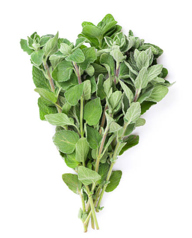 NAT. Oregano Bunch