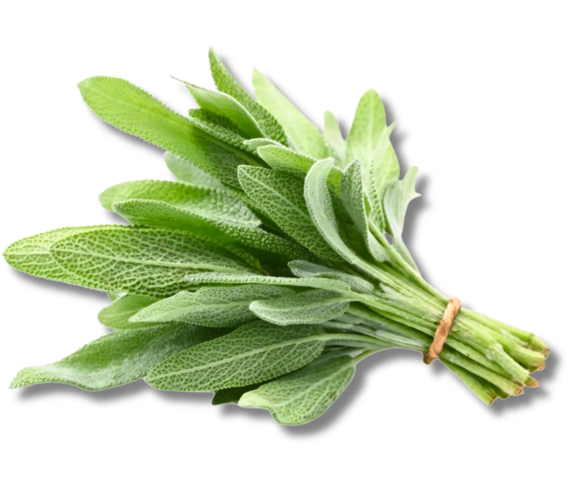 NAT. Sage Bunch