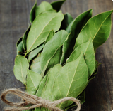 NAT. Bay Leaves Bunch