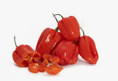 NAT. Chilli Scotch Bonnet Kilo