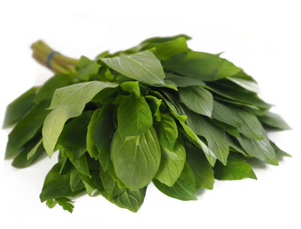 NAT. Basil Thai Bunch