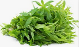 NAT. Lemon Verbena Bunch