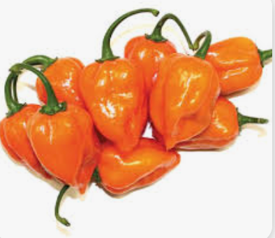 NAT. Chilli Habanero Kilo