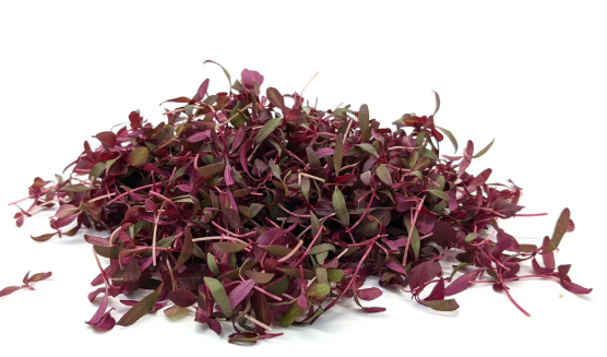NAT. Micro Red Amaranth Pkt