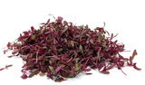 NAT. Micro Red Amaranth Pkt