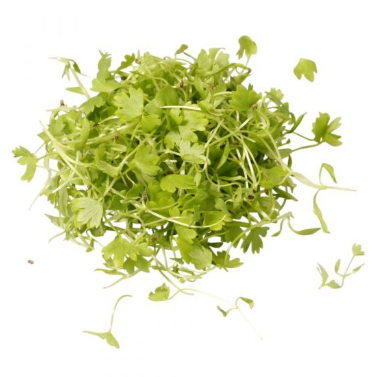 NAT. Micro Celery pkt