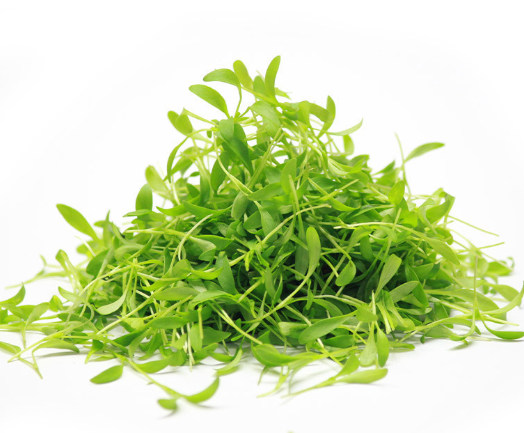 NAT. Micro Coriander pkt