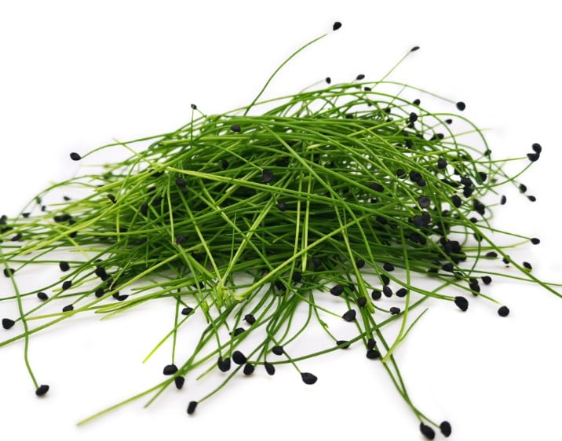 NAT. Micro Garlic Chive pkt