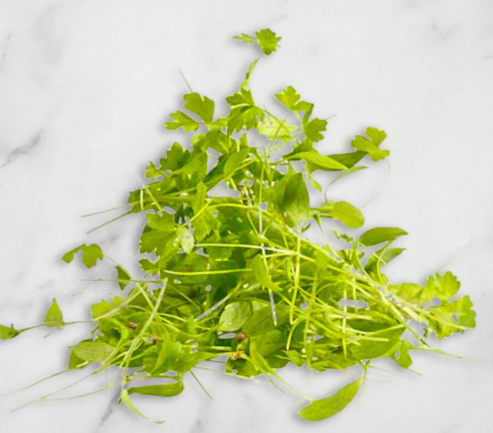 NAT. Micro Parsley pkt
