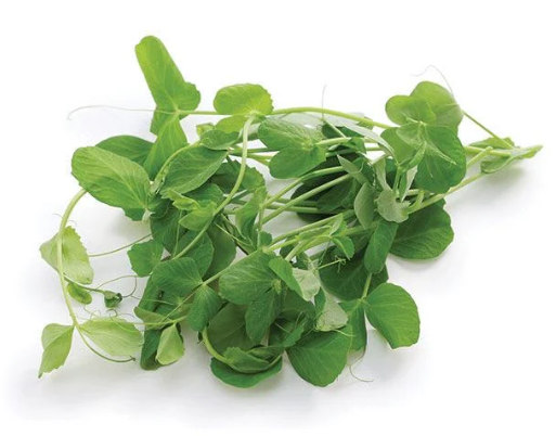 NAT. Micro Pea Shoots Salad pkt