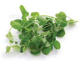 NAT. Micro Pea Shoots Salad pkt