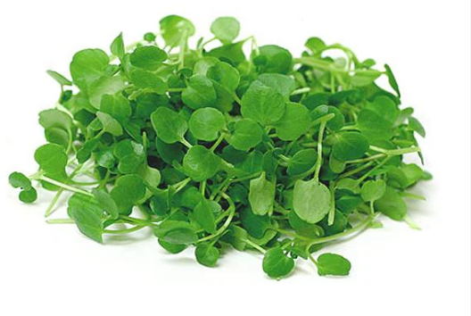 NAT. Micro Watercress pkt