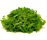 NAT. Micro Mint pkt