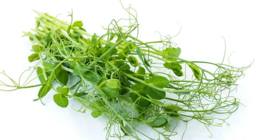 NAT. Micro Pea Shoots Tendril pkt