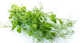 NAT. Micro Pea Shoots Tendril pkt