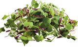 NAT. Micro Salad Leaf Mix pkt