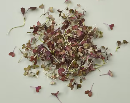 NAT. Micro Red Mustard Frills pkt