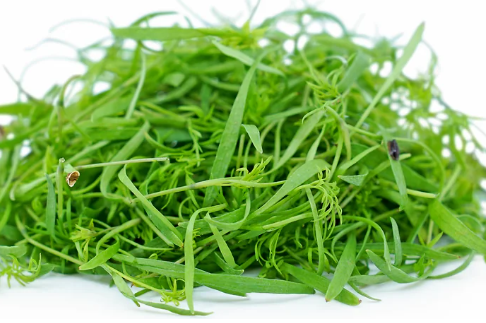 NAT. Micro Dill pkt