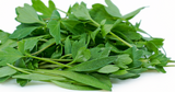 NAT. Micro Lovage pkt