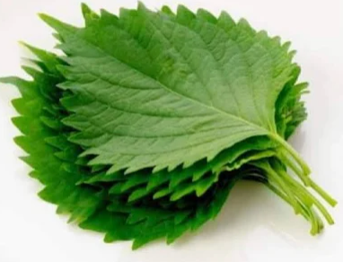 NAT. Shiso Leaf Green Pkt