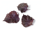 NAT. Shiso Leaf Red Pkt
