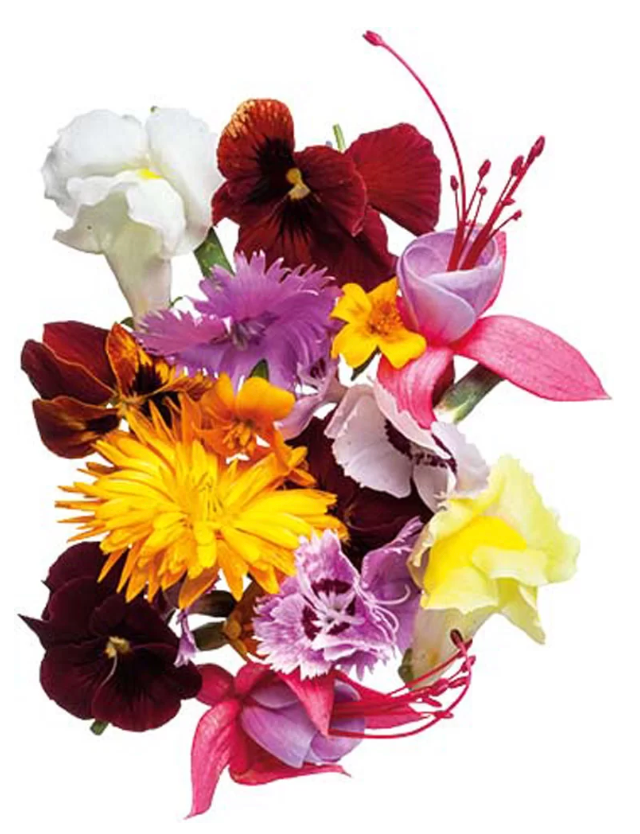 NAT. Edible Flowers Seasonla Mix Pkt