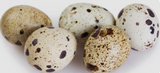 NAT. Eggs Quail x18 Tray