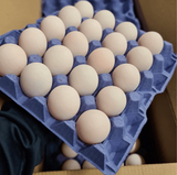 NAT. Eggs Duck x20 Tray
