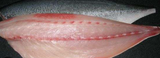 STICK. Kingfish Yellowtail, Filleted & Pin Boned  1.3-2kg