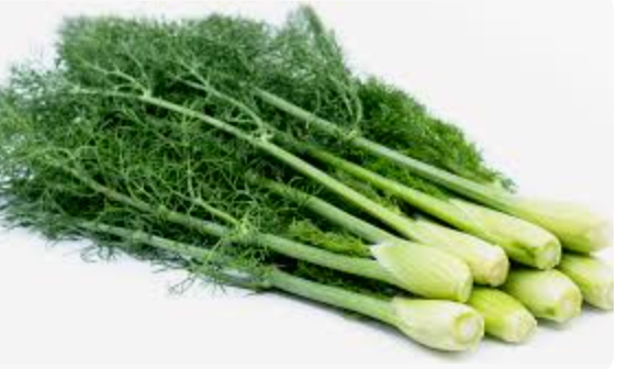 NAT. Baby Fennel Bunch