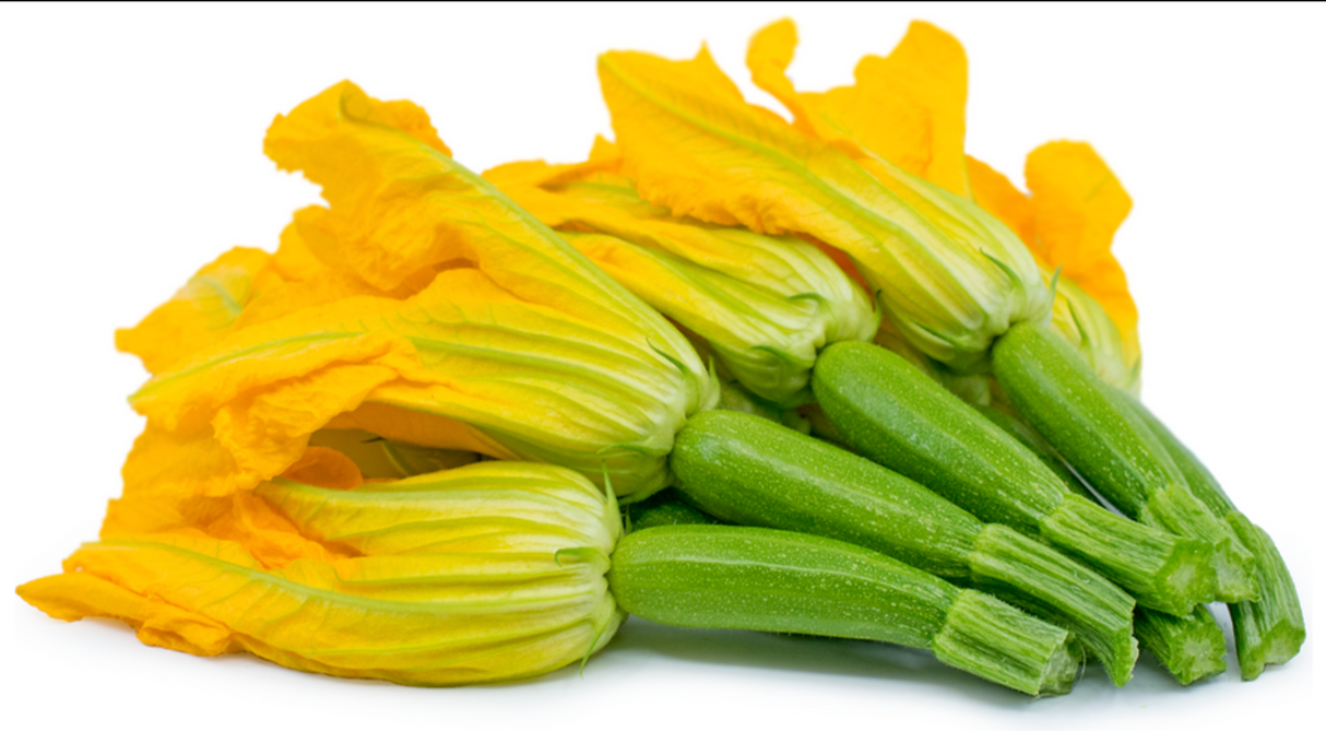 NAT. Baby Courgette Flower Each  (Dutch / Isreal)