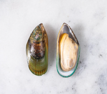 STICK.  Fz Mussel Half Shell Green Lip NZ, 908g