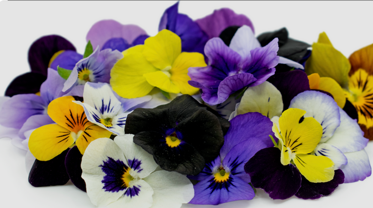 NAT. Edible Viola Flowers Pkt
