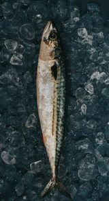 DIRECT.Mackerel Whole Gutted kg