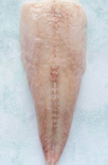 DIRECT.  Monkfish, Tail, Skin On & Bone In, Tails 2-4kg