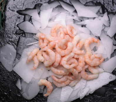 DIRECT. Prawn in Brine 900g
