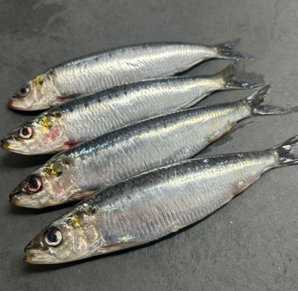 DIRECT. Sardines Whole 80-120g Defrosted kilo