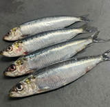 DIRECT. Sardines Whole 80-120g Defrosted kilo