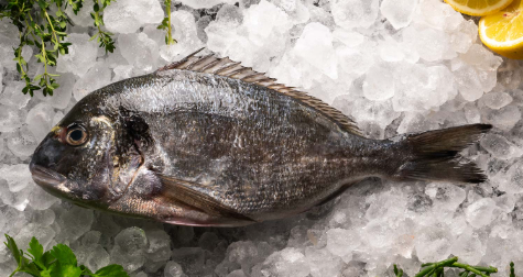 DIRECT. Sea Bream Farmed, Scaled & Gutted, Whole 400-600g